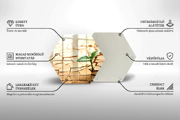 Skärbräda glas sexhörning En ensam växt