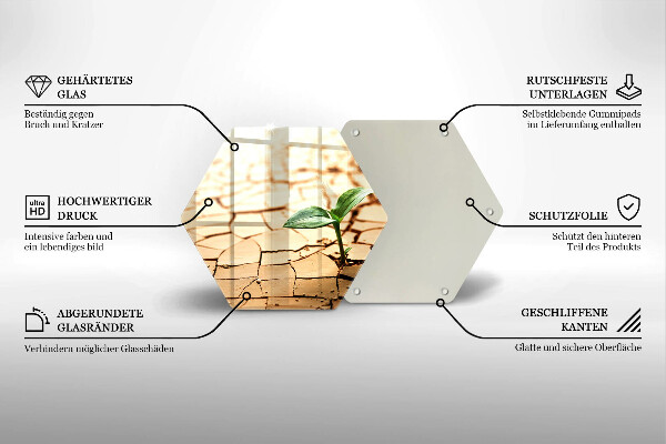 Skärbräda glas sexhörning En ensam växt