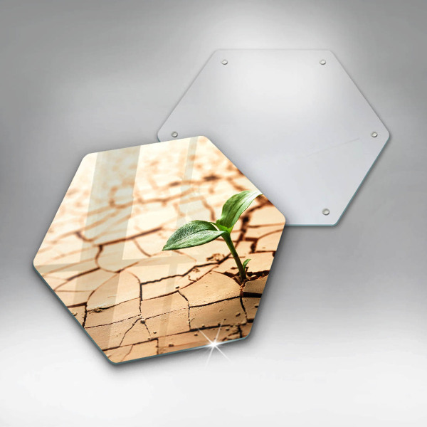 Skärbräda glas sexhörning En ensam växt