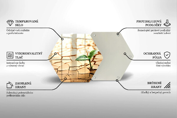 Skärbräda glas sexhörning En ensam växt