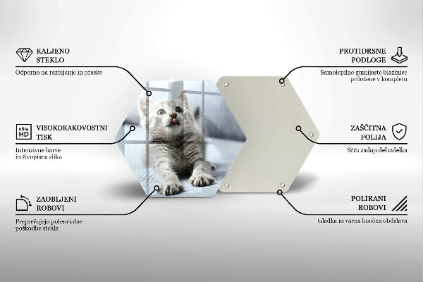 Skärbräda glas sexhörning Liten söt kattunge