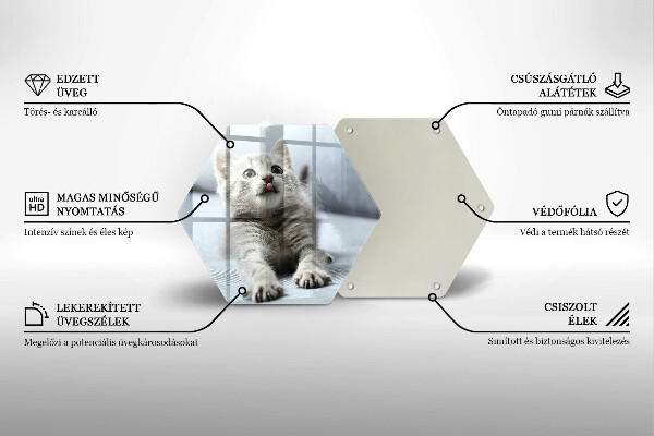Skärbräda glas sexhörning Liten söt kattunge