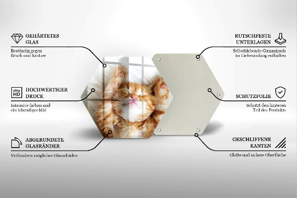 Skärbräda glas sexhörning Liten söt kattunge
