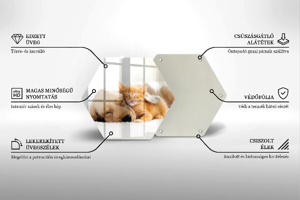 Skärbräda glas sexhörning Djur hund och katt