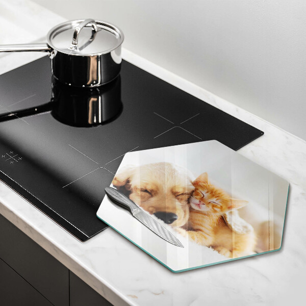 Skärbräda glas sexhörning Djur hund och katt