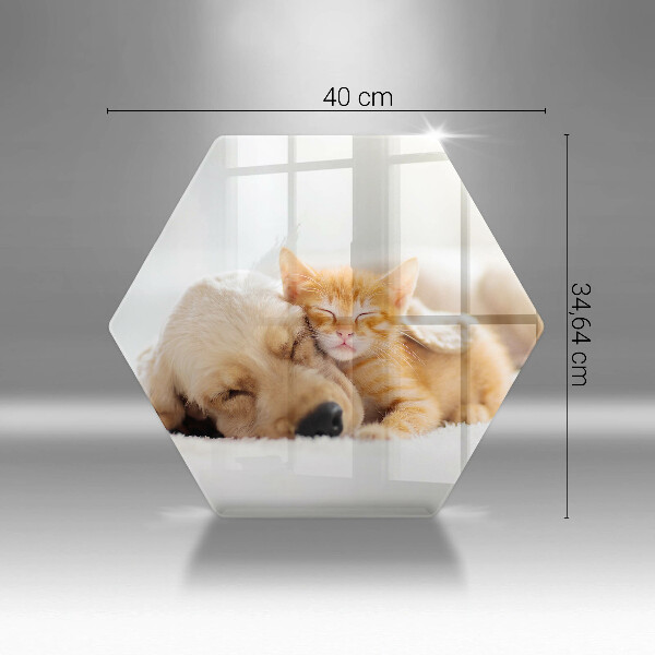 Skärbräda glas sexhörning Djur hund och katt