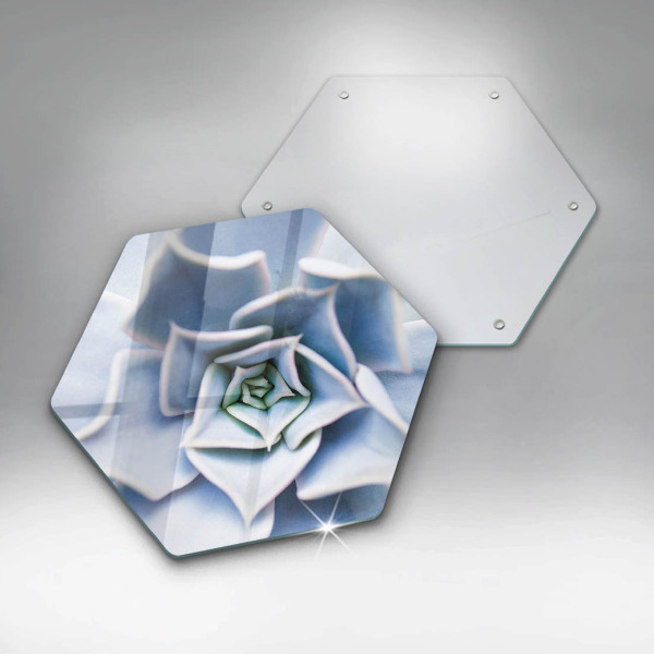 Skärbräda glas sexhörning Blomma växt