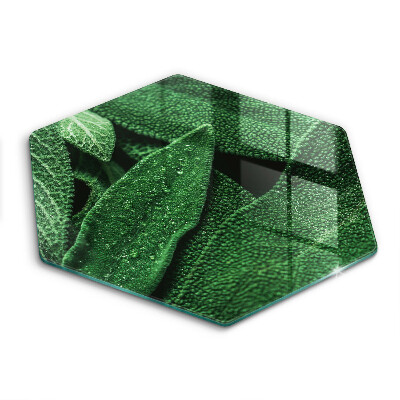 Skärbräda glas sexhörning Växtens blad