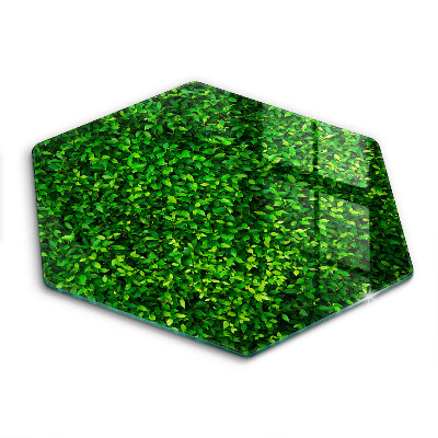 Skärbräda glas sexhörning Plantera med små blad