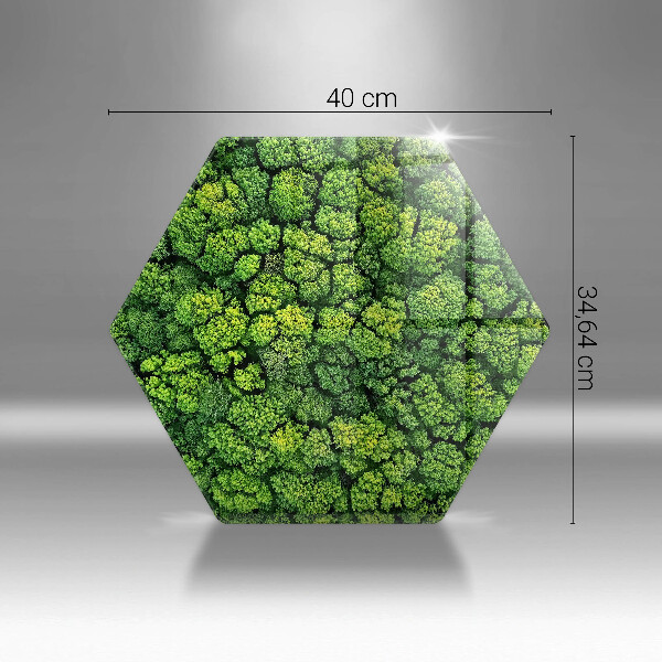 Skärbräda glas sexhörning Naturmossaväxt