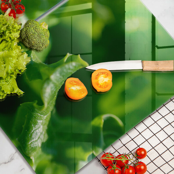 Skyddsplatta för spis Salladsblad