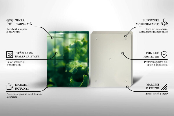 Skyddsplatta för spis Salladsblad