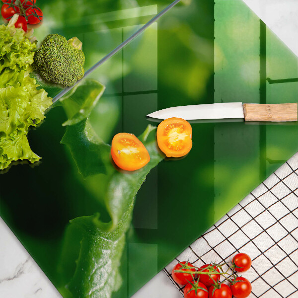 Skyddsplatta för spis Salladsblad