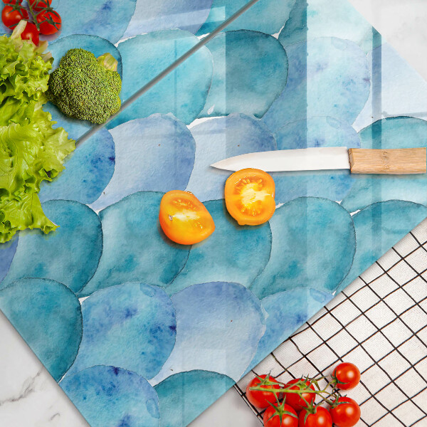 Skyddsplatta för spis Akvarell skalor