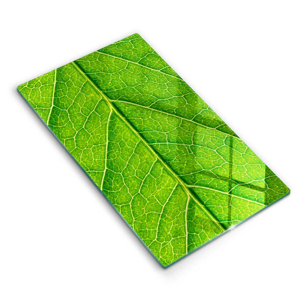 Glashällskydd modern Blad vener natur