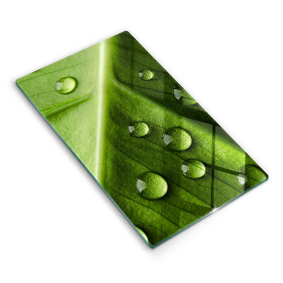 Spisskyddsplatta modern Natur dagg och löv