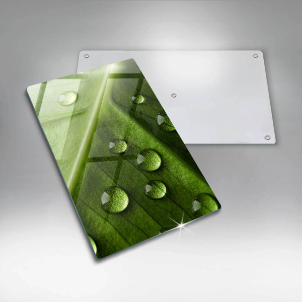 Spisskyddsplatta modern Natur dagg och löv