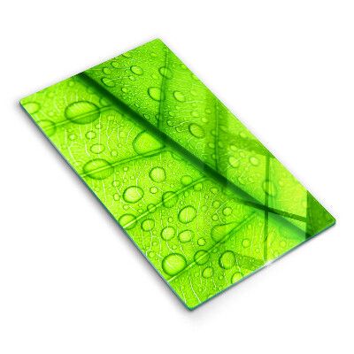 Skydd för induktionsspis modern Närbild av ett löv