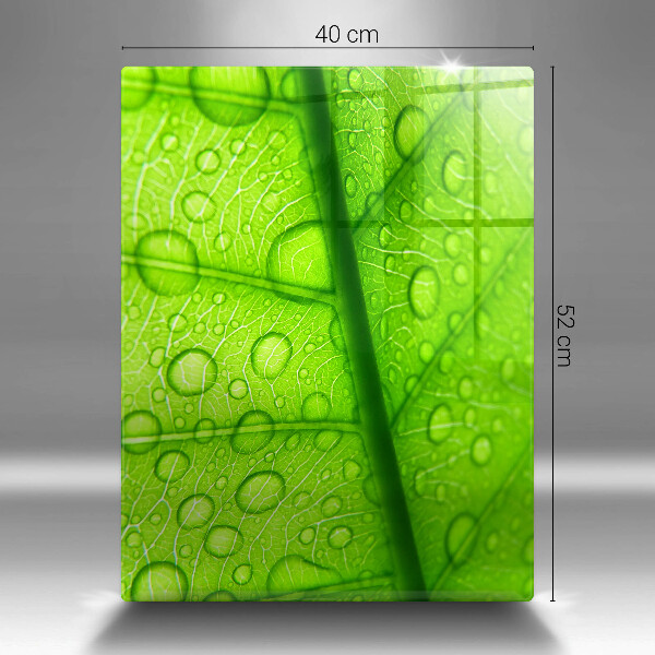 Skydd för induktionsspis modern Närbild av ett löv