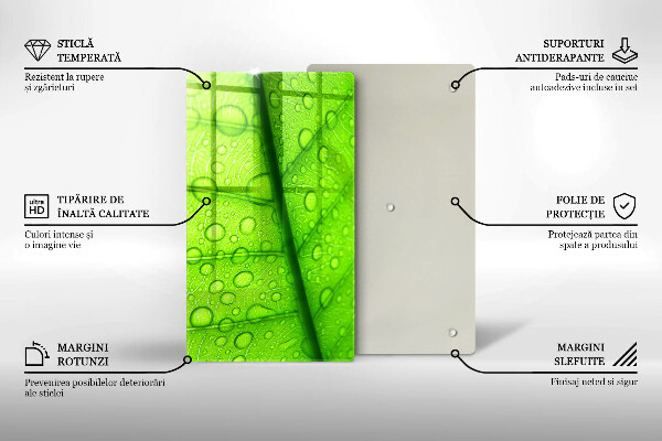 Skydd för induktionsspis modern Närbild av ett löv