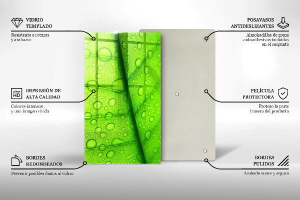 Skydd för induktionsspis modern Närbild av ett löv