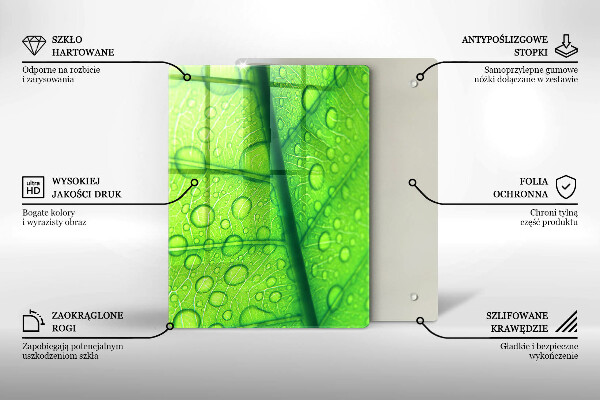 Skydd för induktionsspis modern Närbild av ett löv