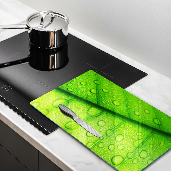 Skydd för induktionsspis modern Närbild av ett löv