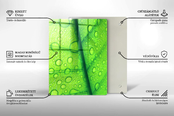 Skydd för induktionsspis modern Närbild av ett löv