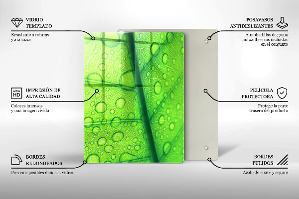 Skydd för induktionsspis modern Närbild av ett löv