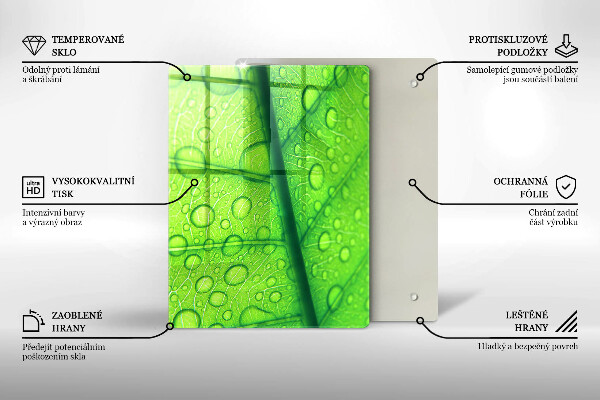 Skydd för induktionsspis modern Närbild av ett löv