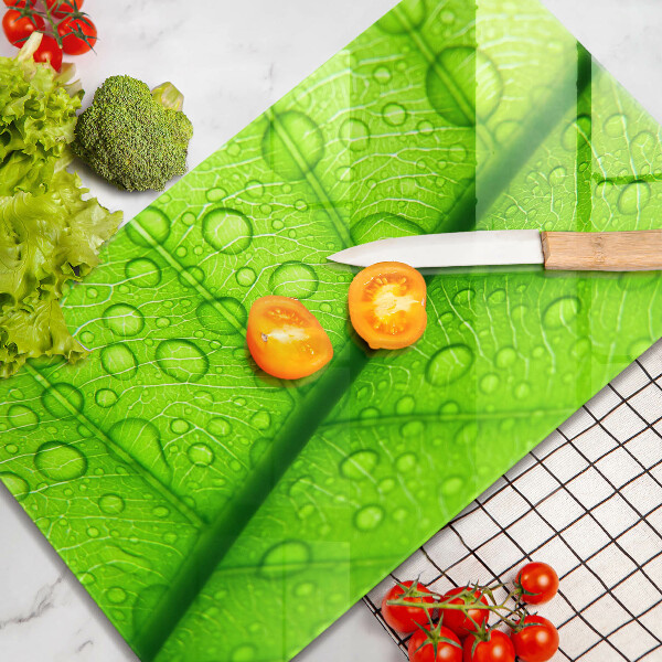 Skydd för induktionsspis modern Närbild av ett löv