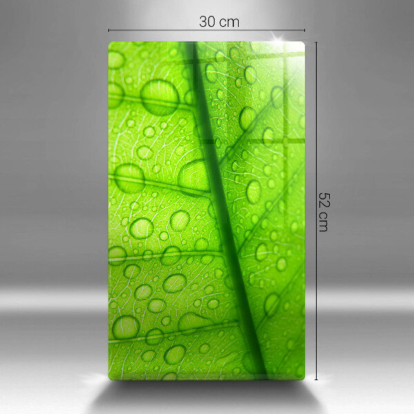 Skydd för induktionsspis modern Närbild av ett löv