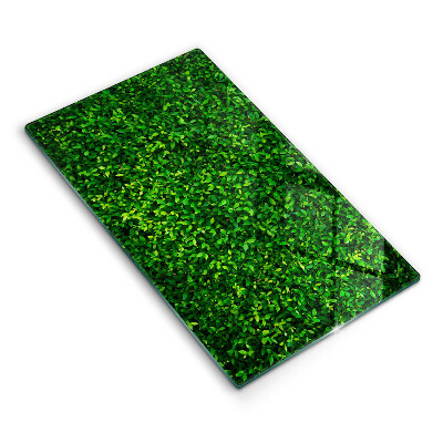 Glashällskydd modern Plantera små blad