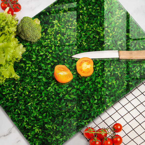 Glashällskydd modern Plantera små blad