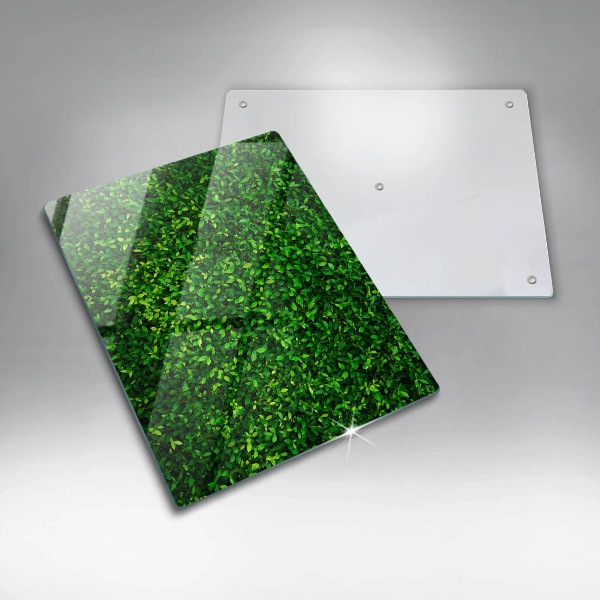 Glashällskydd modern Plantera små blad