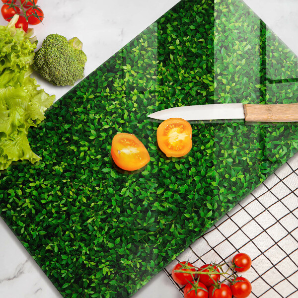 Glashällskydd modern Plantera små blad