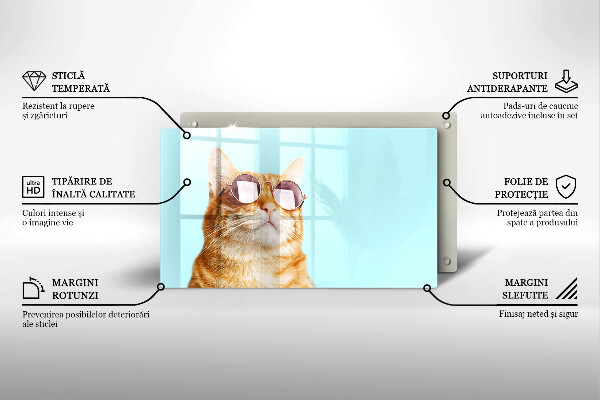 Spisskyddsplatta original Ingefära katt med glasögon