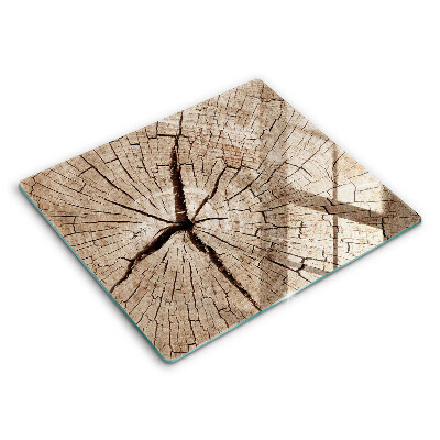 Glashällskydd unik Tvärsnitt av ett träd