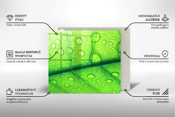 Skydd för spis unik Närbild av ett löv
