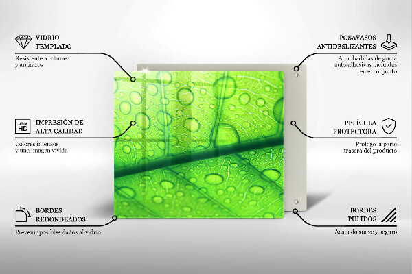 Skydd för spis unik Närbild av ett löv