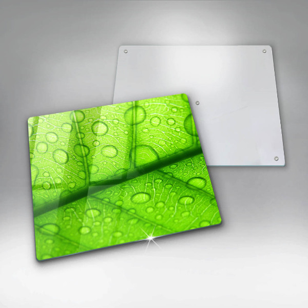 Skydd för spis unik Närbild av ett löv