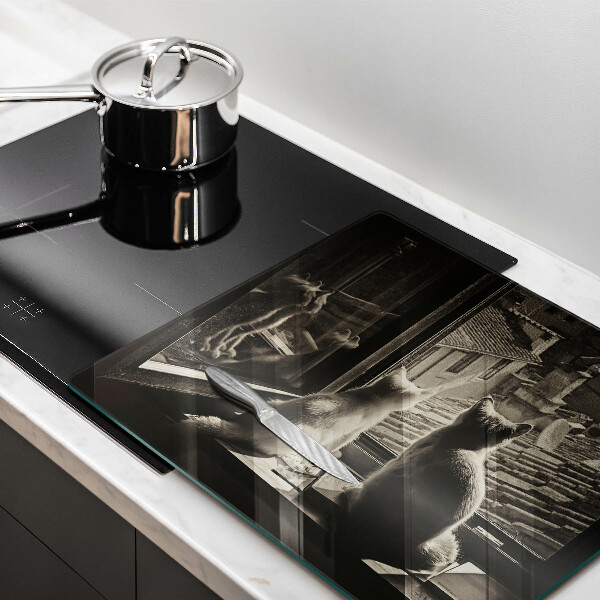 Spisskyddsplatta unik Katter stad och fönster