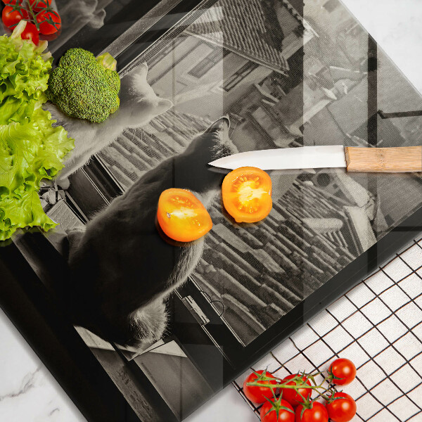 Spisskyddsplatta unik Katter stad och fönster