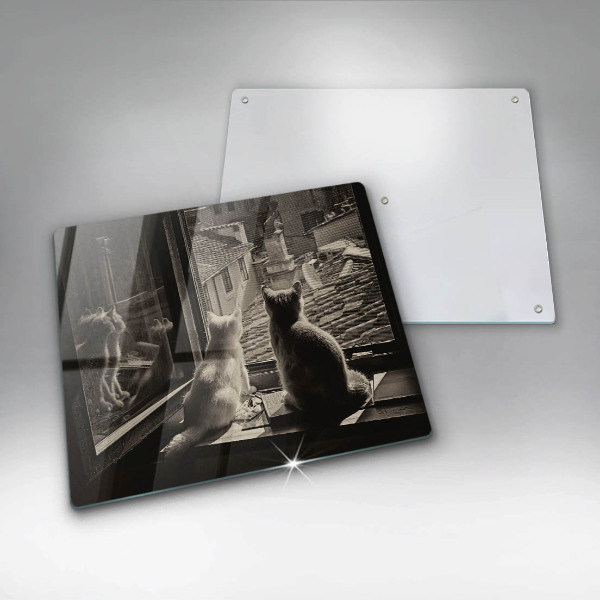 Spisskyddsplatta unik Katter stad och fönster