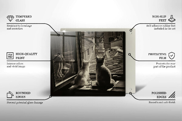 Spisskyddsplatta unik Katter stad och fönster