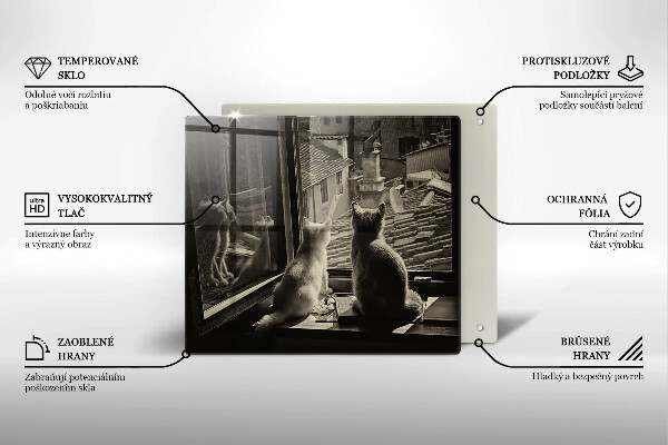 Spisskyddsplatta unik Katter stad och fönster