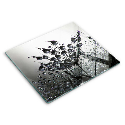 Spisskyddsplatta unik Maskrosor och dagg