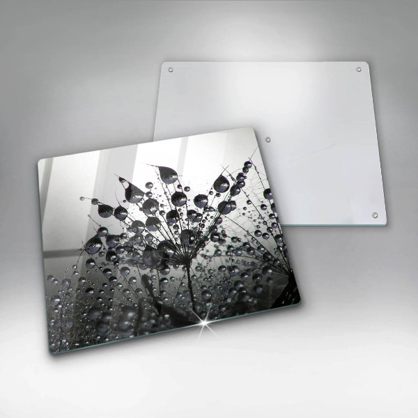 Spisskyddsplatta unik Maskrosor och dagg