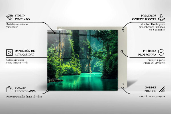 Skydd för induktionsspis unik Lagun landskap