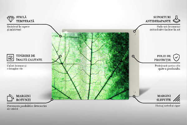 Spisskyddsplatta unik Dekorativt ådroblad
